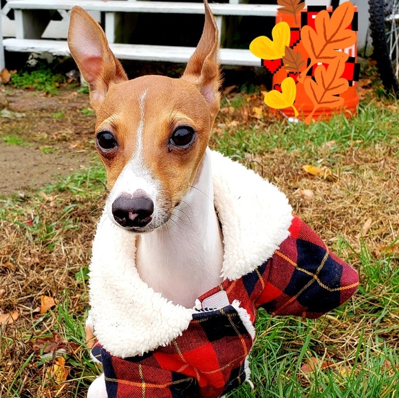 Meet your Posher, Sheryl - Picture 1 of 1